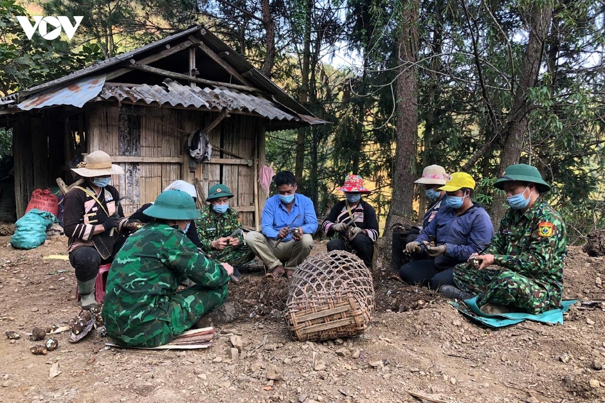 Điểm tựa vững chắc giúp nông dân vùng biên vươn lên thoát nghèo